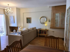 Dioni luxury apartment with private entrance
